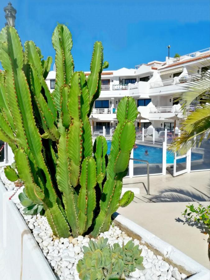 Aguamarina Apartment - Los Diamantes 2 Los Cristianos  Exteriér fotografie